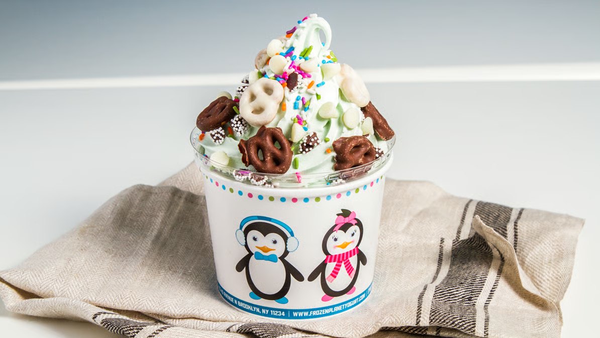 A cup of Frozen Planet frozen yogurt topped with rainbow sprinkles, chocolate pretzels and white chocolate chips